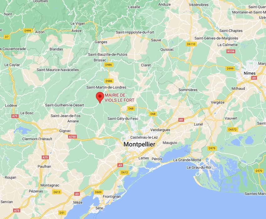google maps Viols le Fort